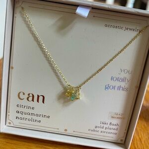 NEW Paige Harper Charm Necklace